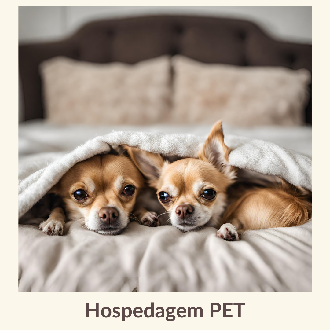 Hospedagem PET.png